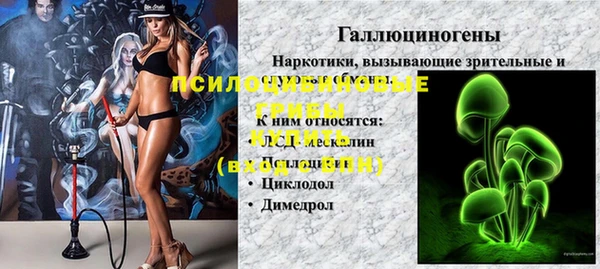 apvp Корсаков